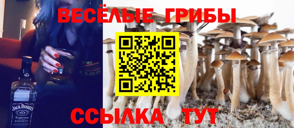 Еманжелинск  купить наркоту  Вход с VPN  Галлюциногенные грибы Psilocybe 